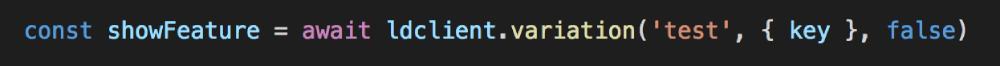 We can ask for the value of this feature flag with a line of code