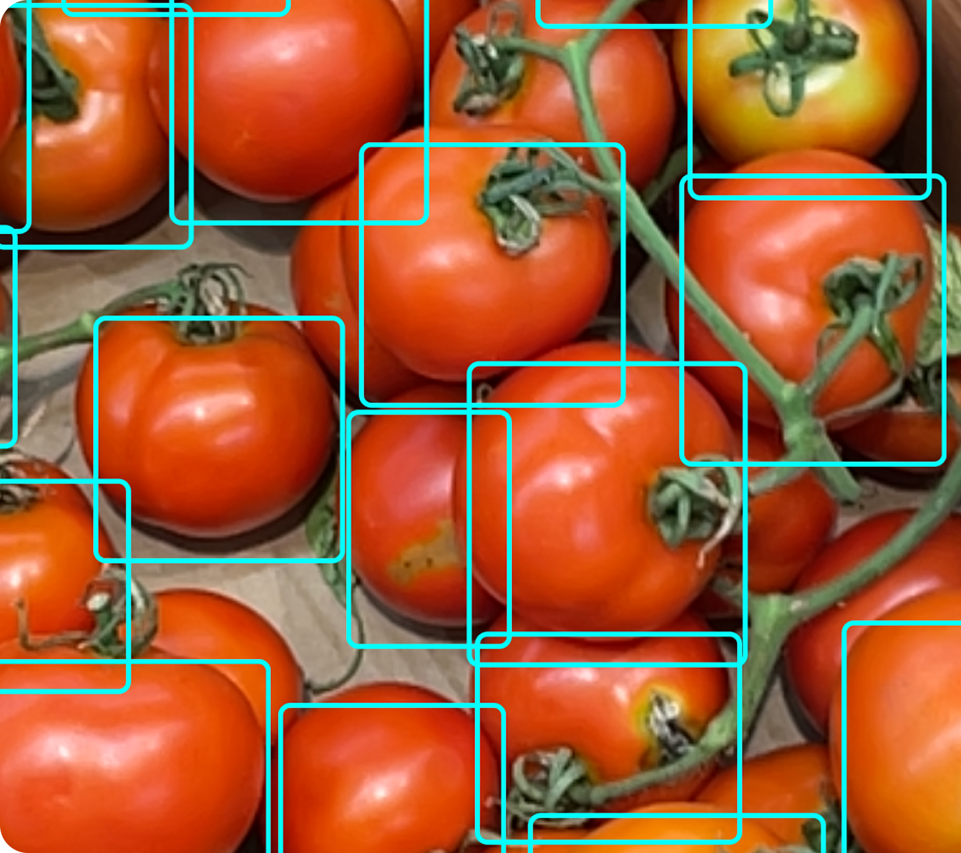 Array